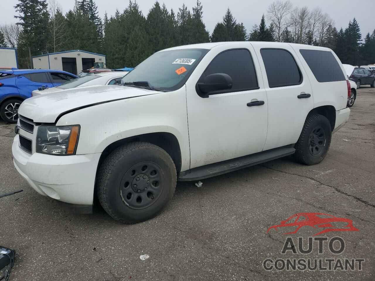 CHEVROLET TAHOE 2009 - 1GNEC03069R224933