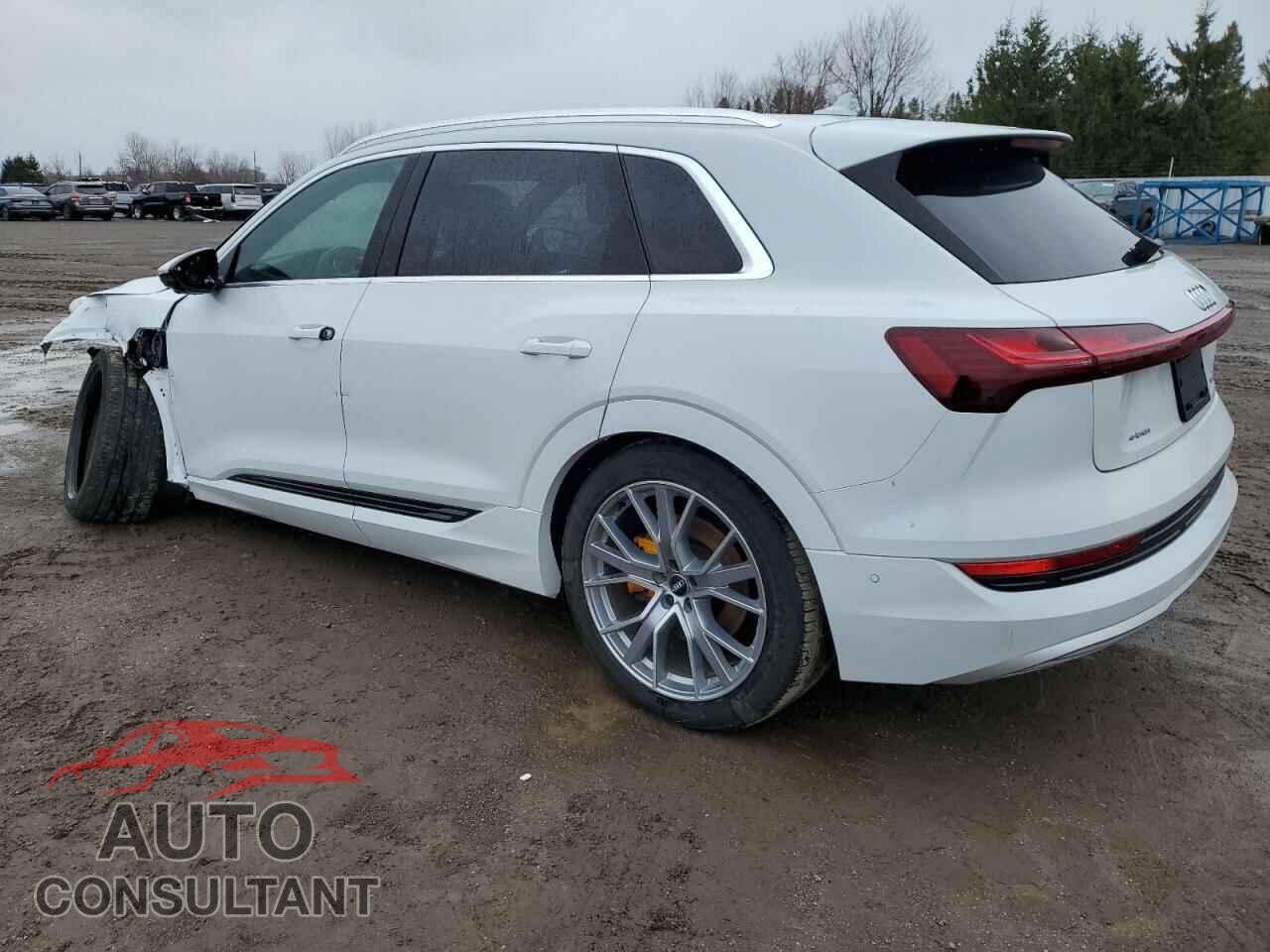 AUDI E-TRON 2019 - WA1VAAGE5KB013953