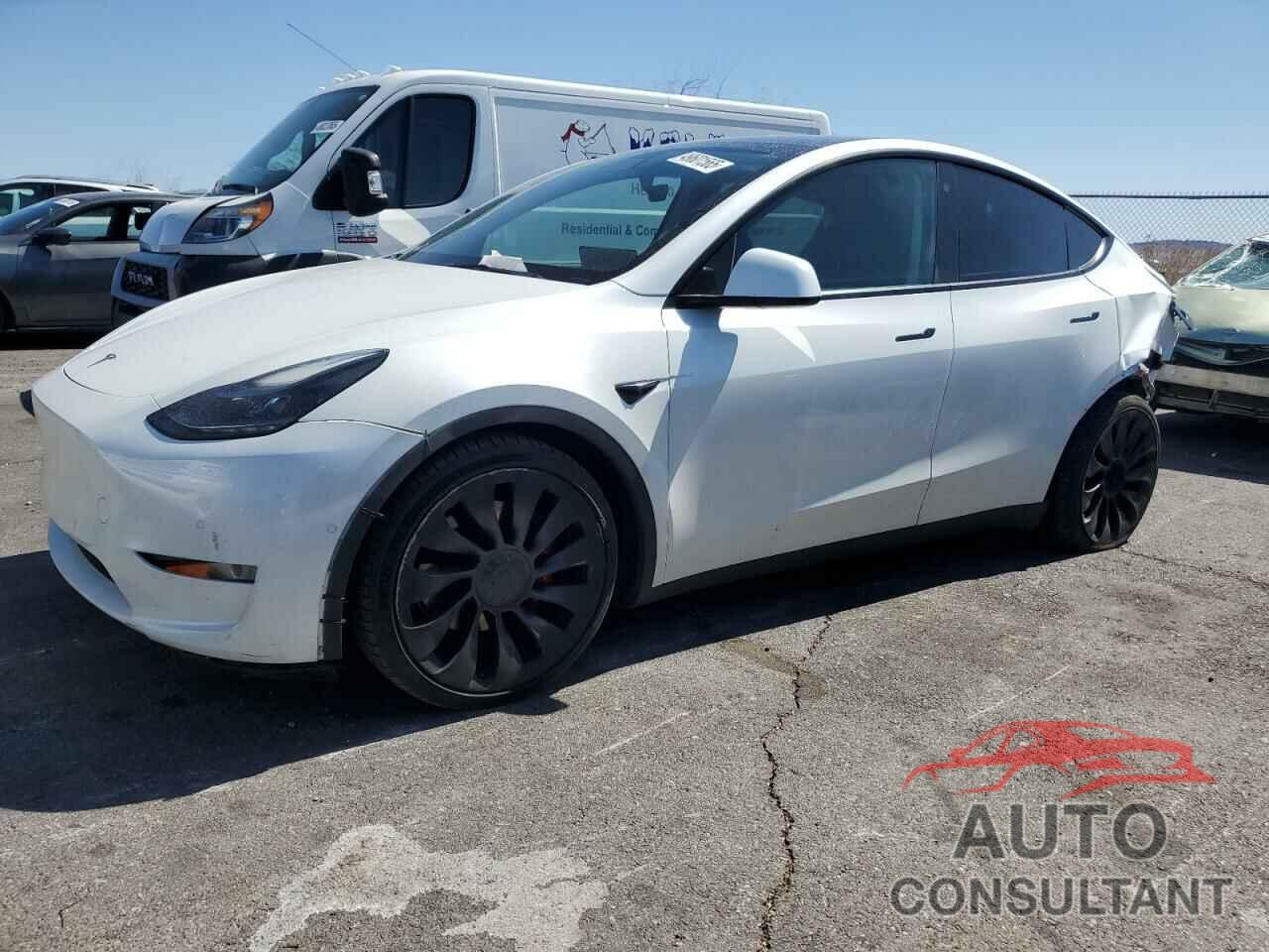 TESLA MODEL Y 2022 - 7SAYGDEF2NF407736