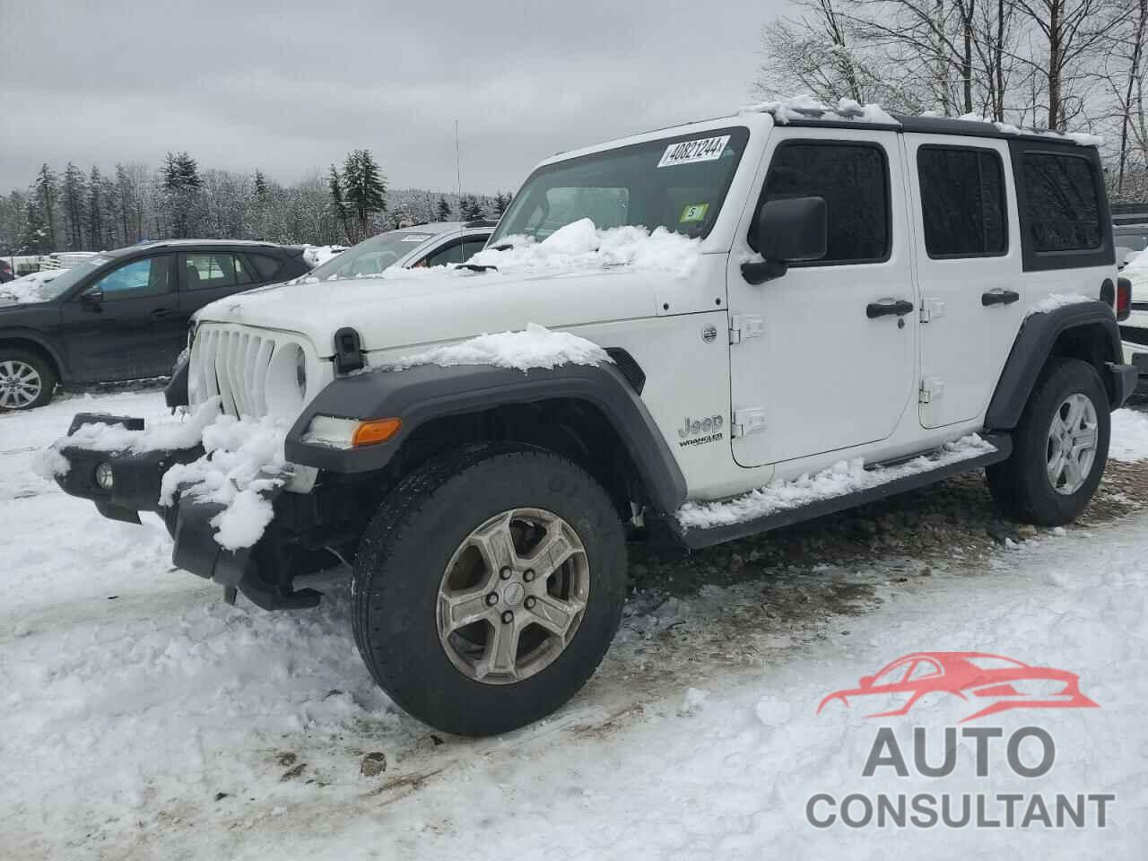 JEEP WRANGLER 2020 - 1C4HJXDG9LW298176