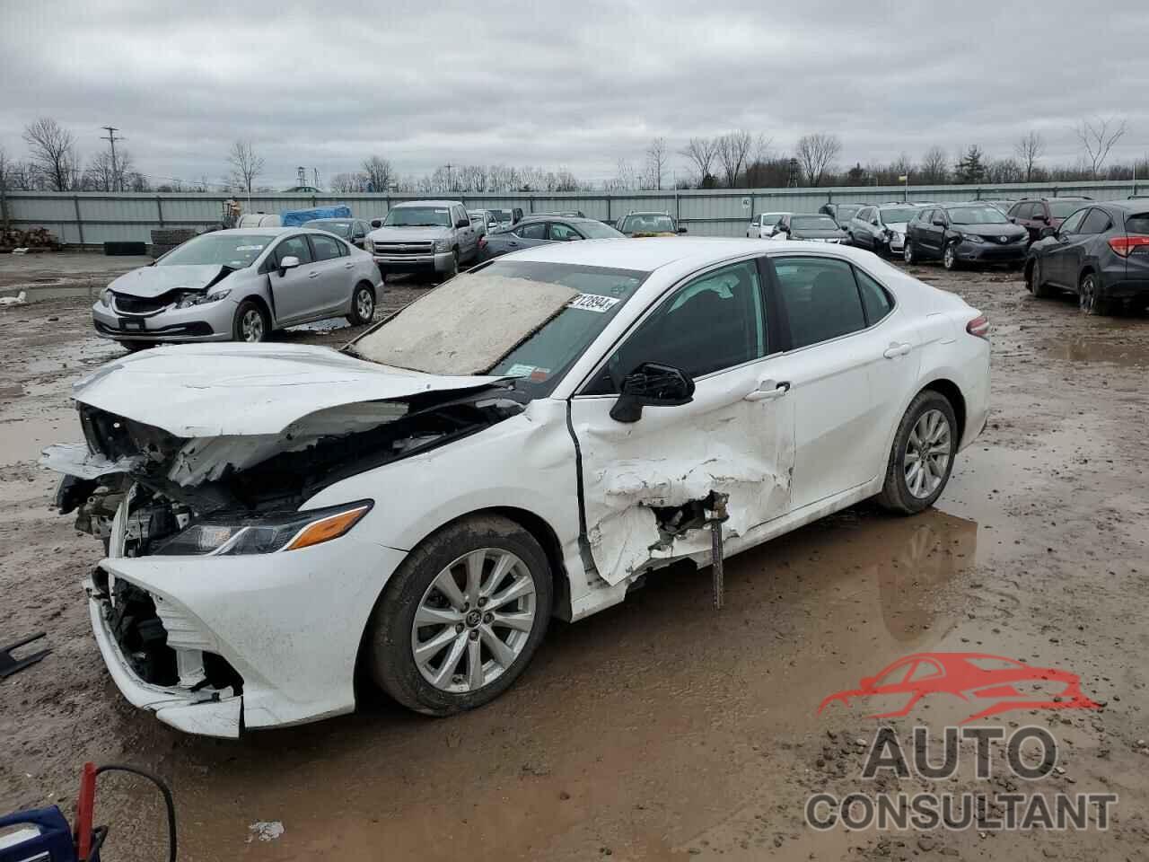 TOYOTA CAMRY 2019 - 4T1B11HK5KU289031