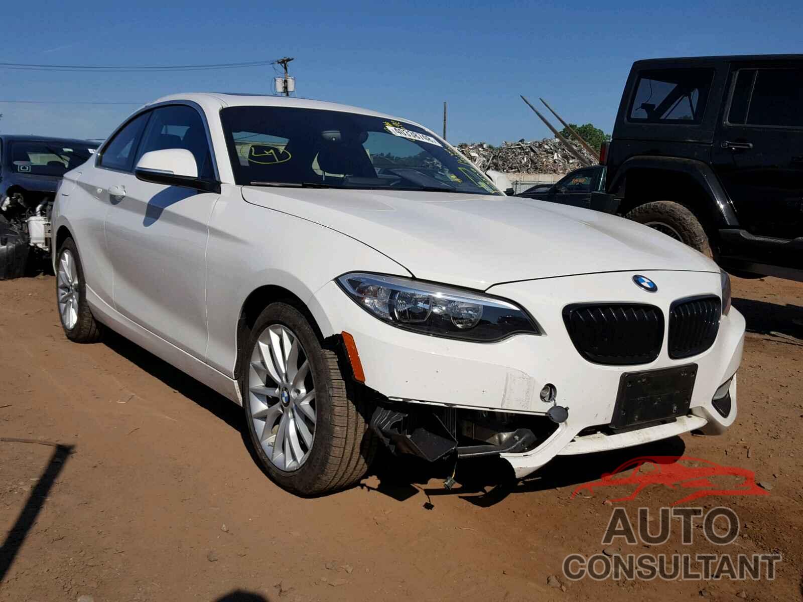 BMW 228 XI 2016 - WBA1G9C59GV599146