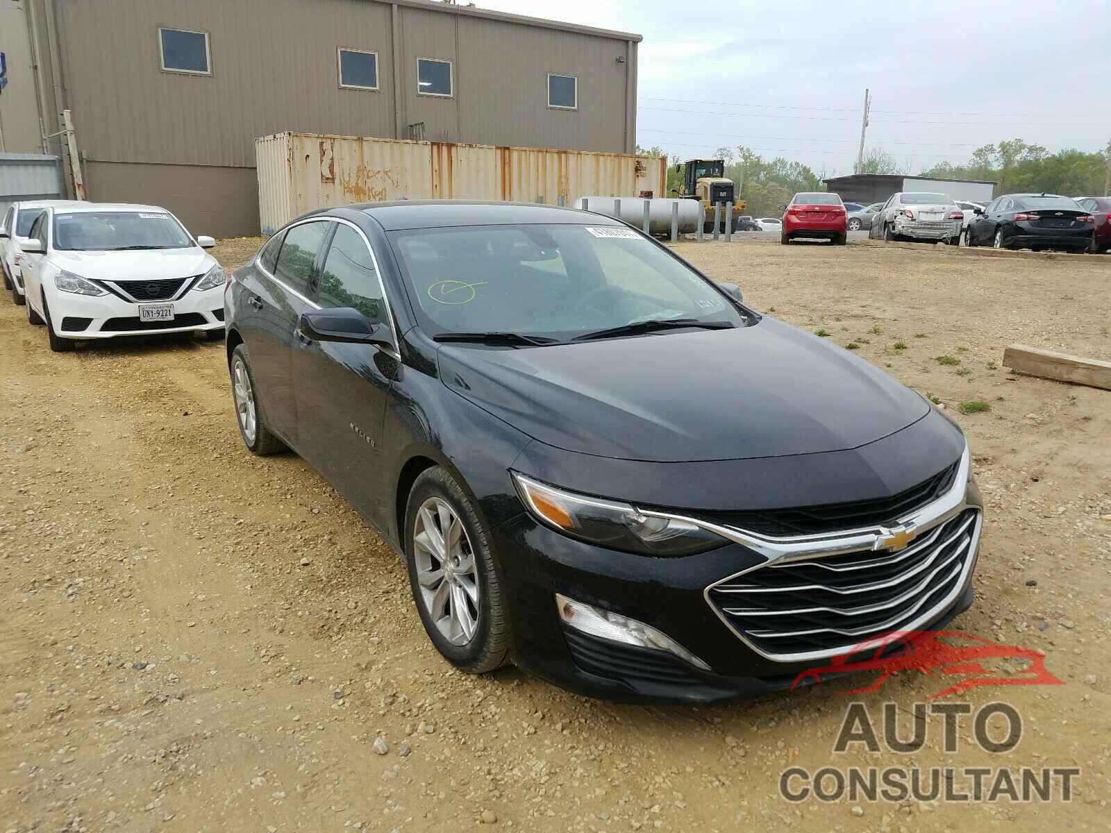 2019 MALIBU CHEVROLET