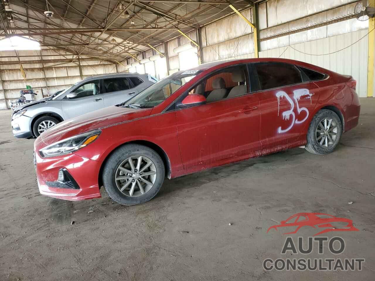 HYUNDAI SONATA 2019 - 5NPE24AF9KH810646