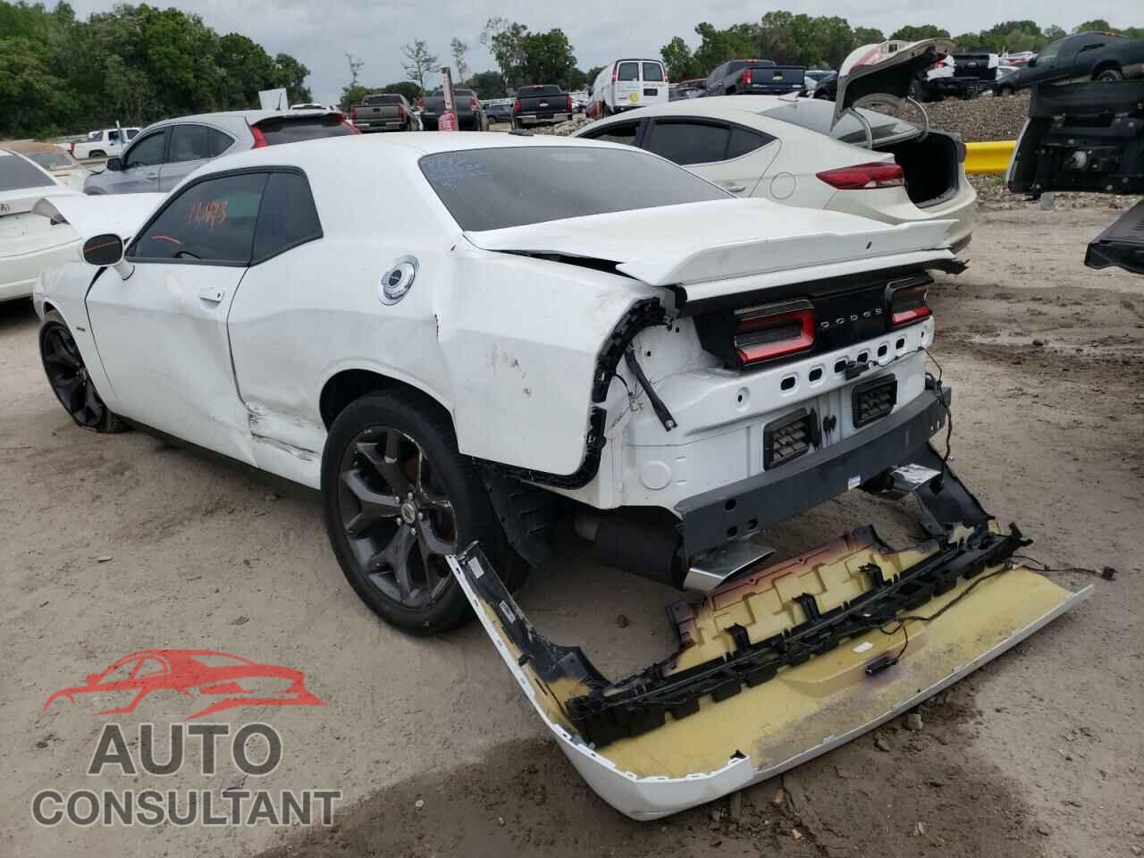 DODGE CHALLENGER 2019 - 2C3CDZBT6KH524544