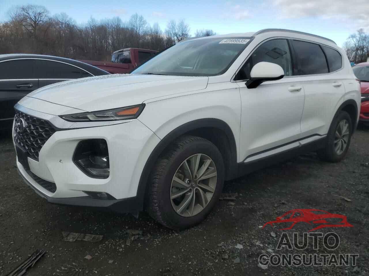 HYUNDAI SANTA FE 2019 - 5NMS3CAD4KH012030