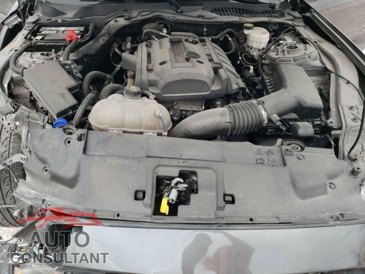 FORD MUSTANG 2020 - 1FA6P8TH0L5118004