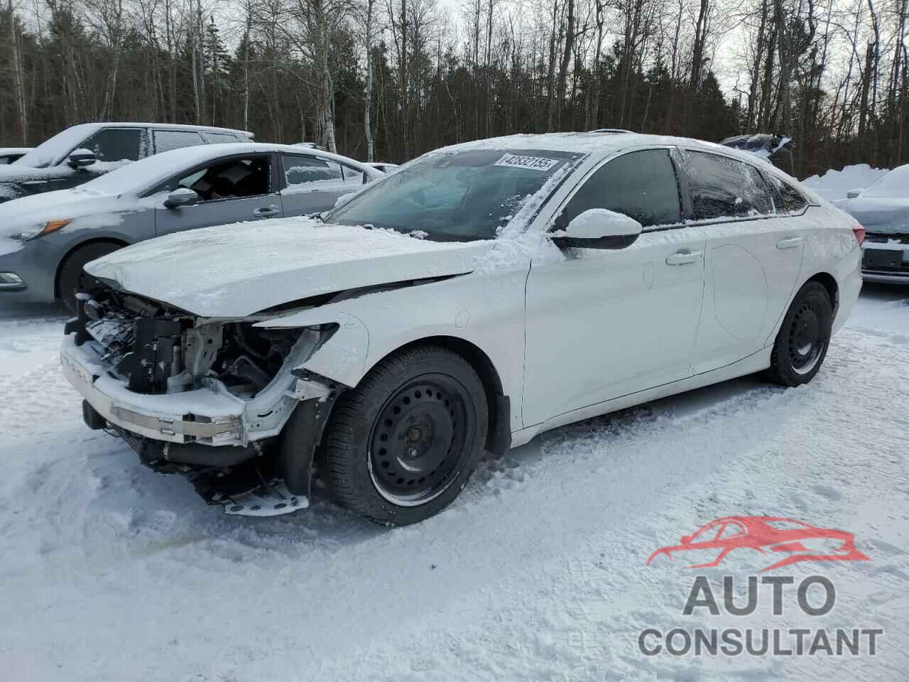HONDA ACCORD 2019 - 1HGCV1F31KA802982