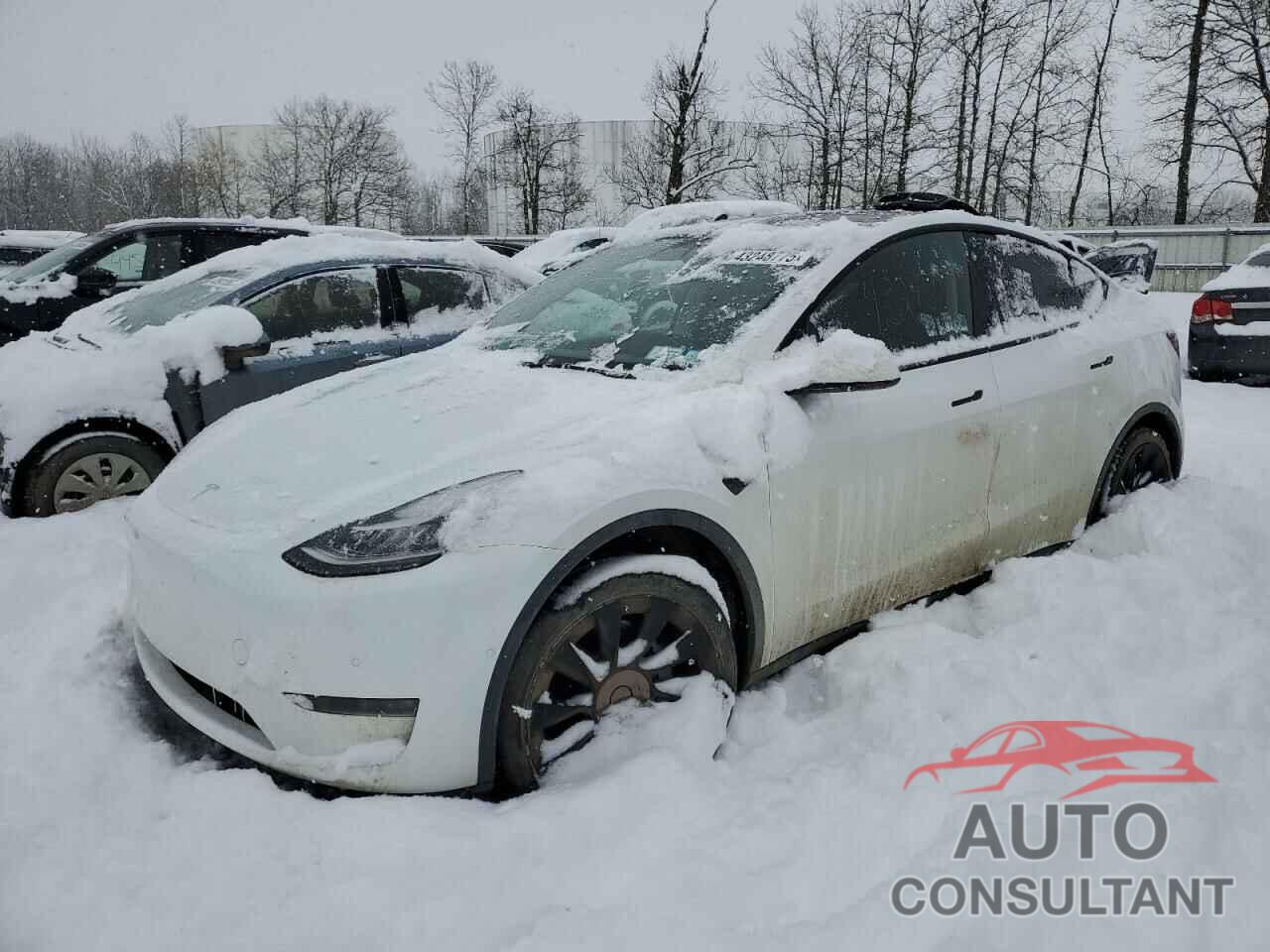TESLA MODEL Y 2022 - 7SAYGDEE8NA010567