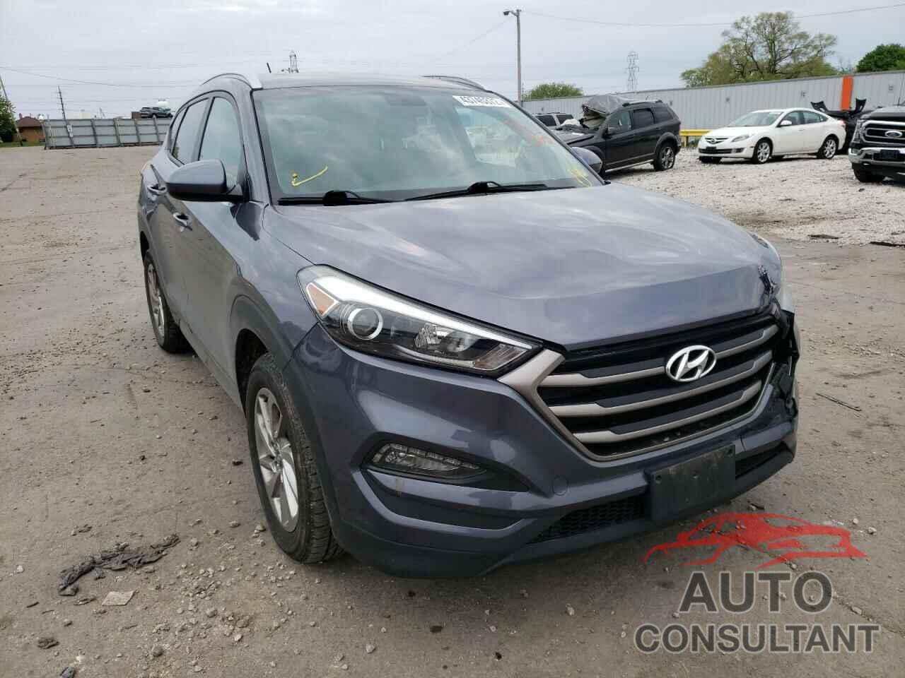 HYUNDAI TUCSON 2016 - KM8J33A42GU206434