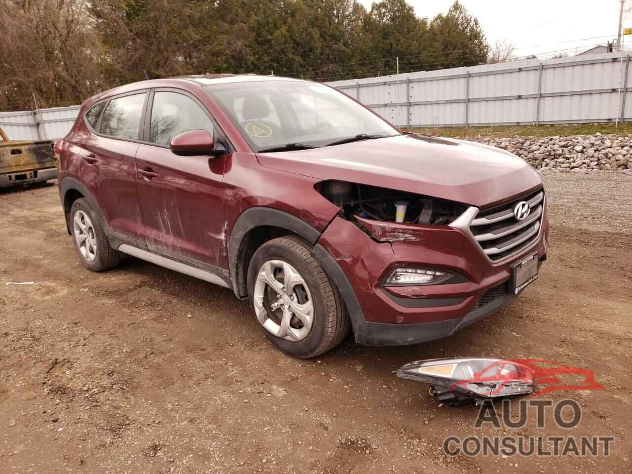 HYUNDAI TUCSON 2017 - KM8J23A42HU402927