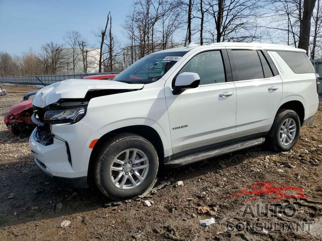 CHEVROLET TAHOE 2023 - 1GNSKNKD5PR417546