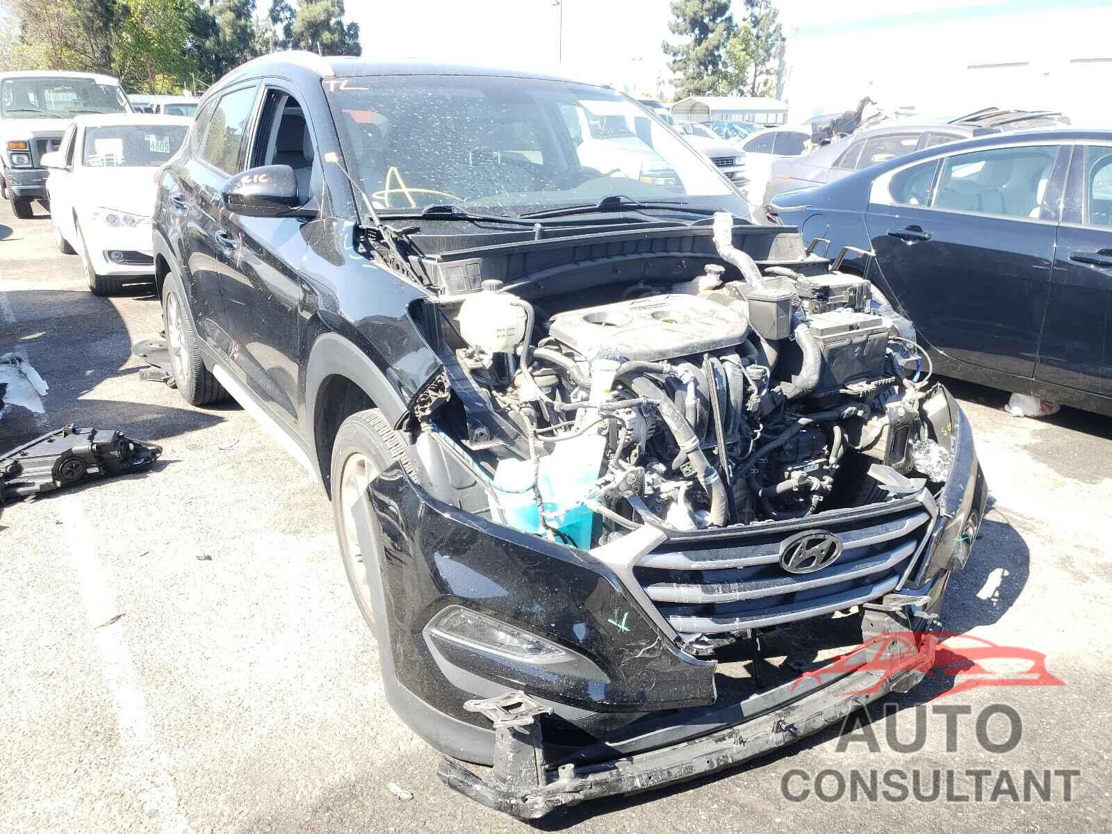 HYUNDAI TUCSON 2017 - KM8J33A42HU492335