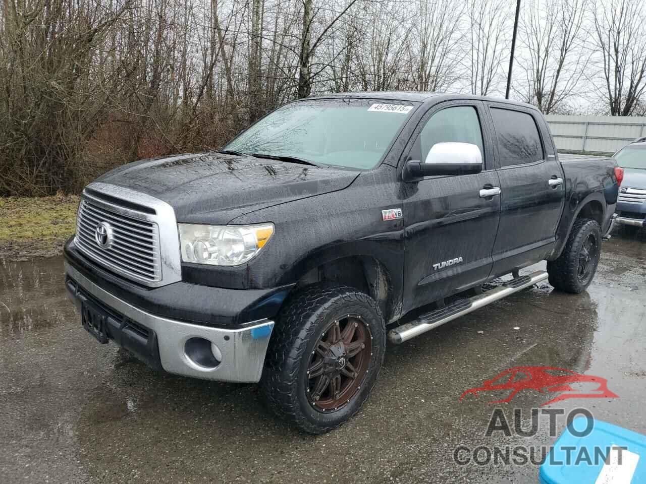 TOYOTA TUNDRA 2010 - 5TFHY5F17AX144971