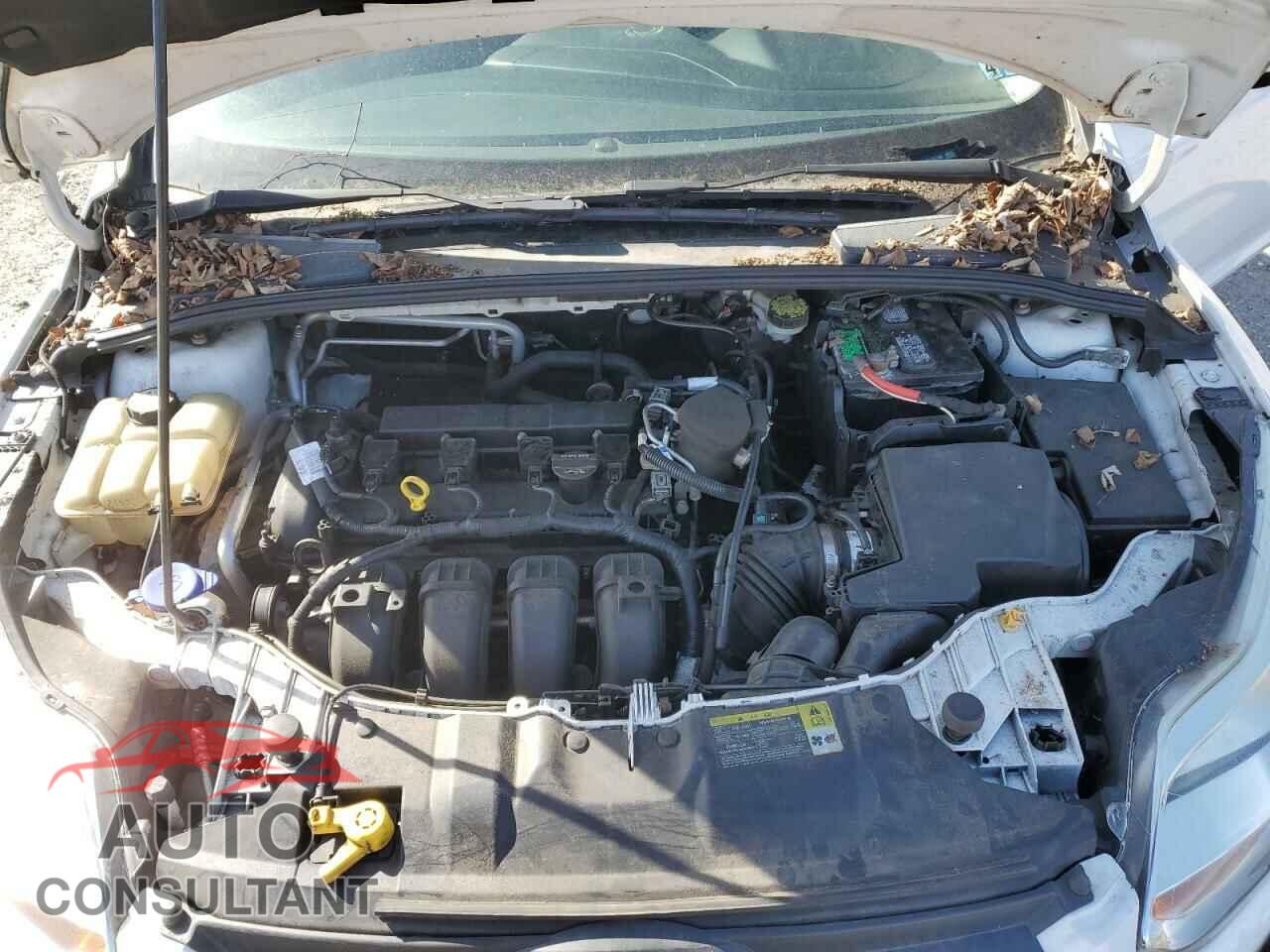 FORD FOCUS 2012 - 1FAHP3F2XCL297148