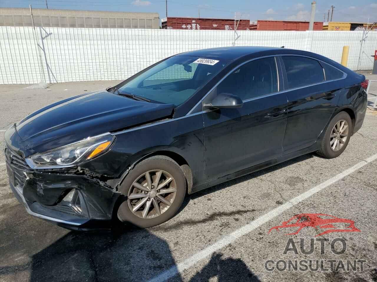 HYUNDAI SONATA 2019 - 5NPE24AF1KH755125