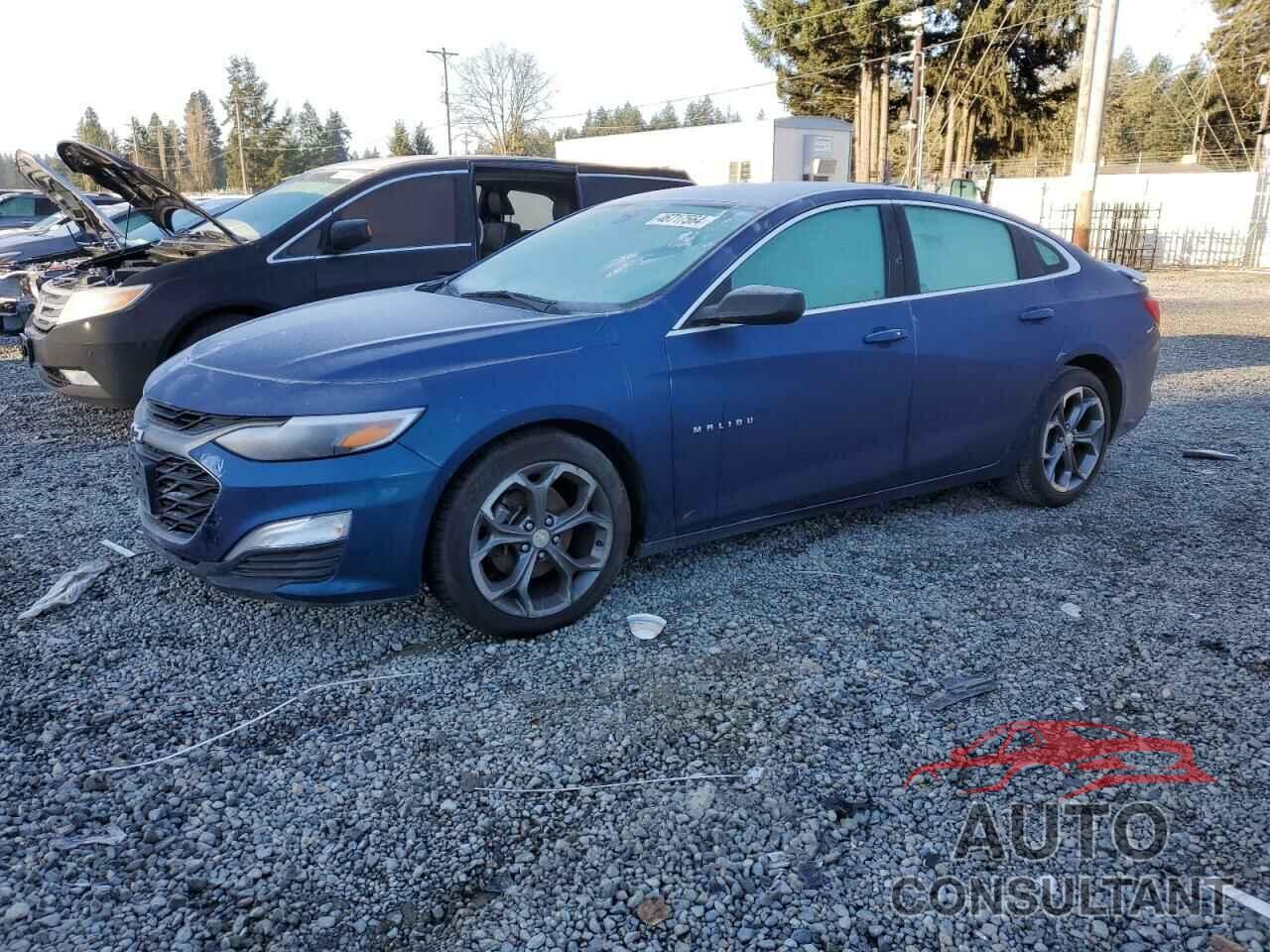 CHEVROLET MALIBU 2019 - 1G1ZG5STXKF207754
