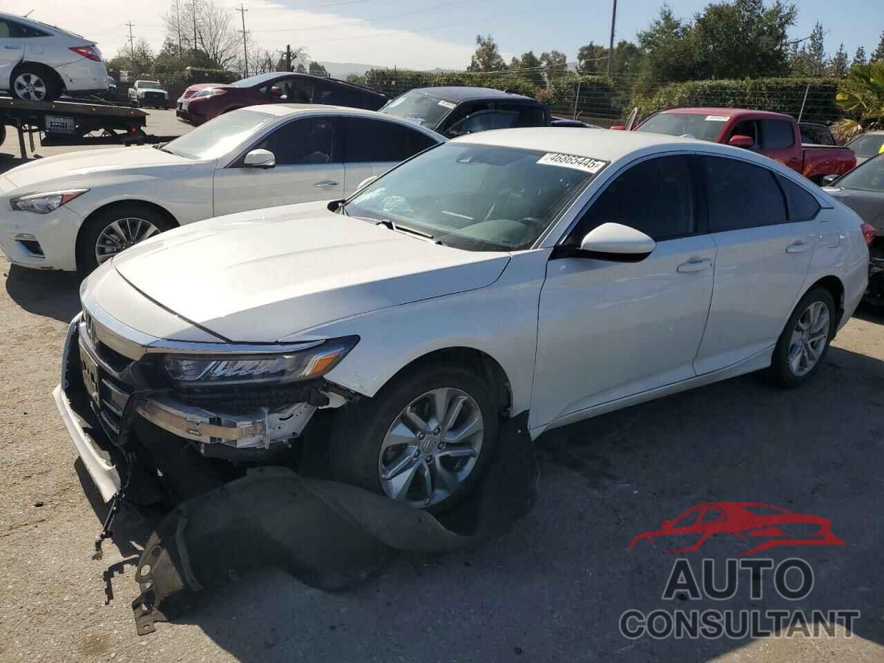 HONDA ACCORD 2019 - 1HGCV1F14KA155735