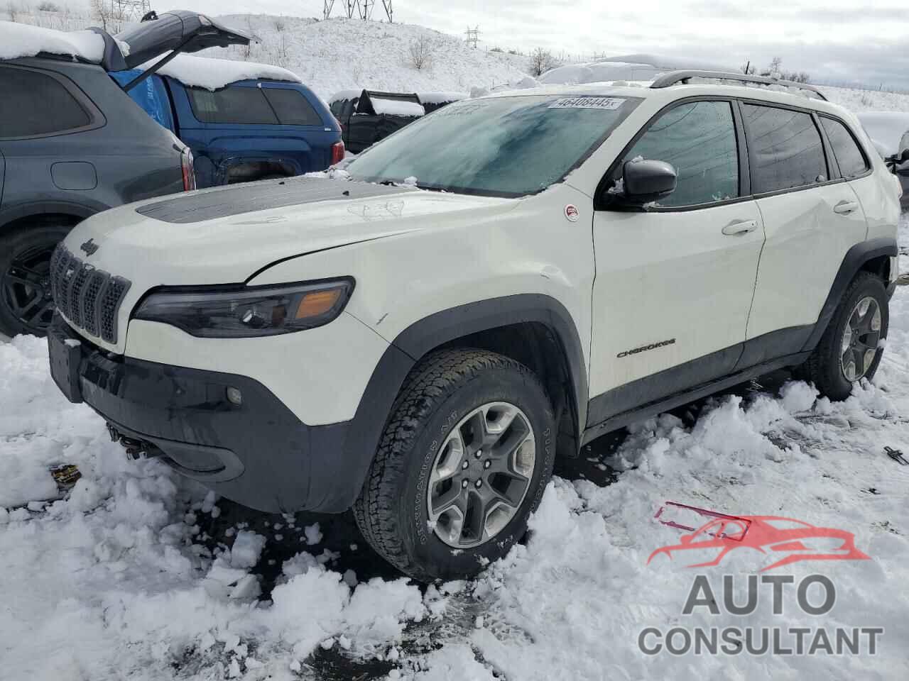 JEEP CHEROKEE 2019 - 1C4PJMBX9KD313816