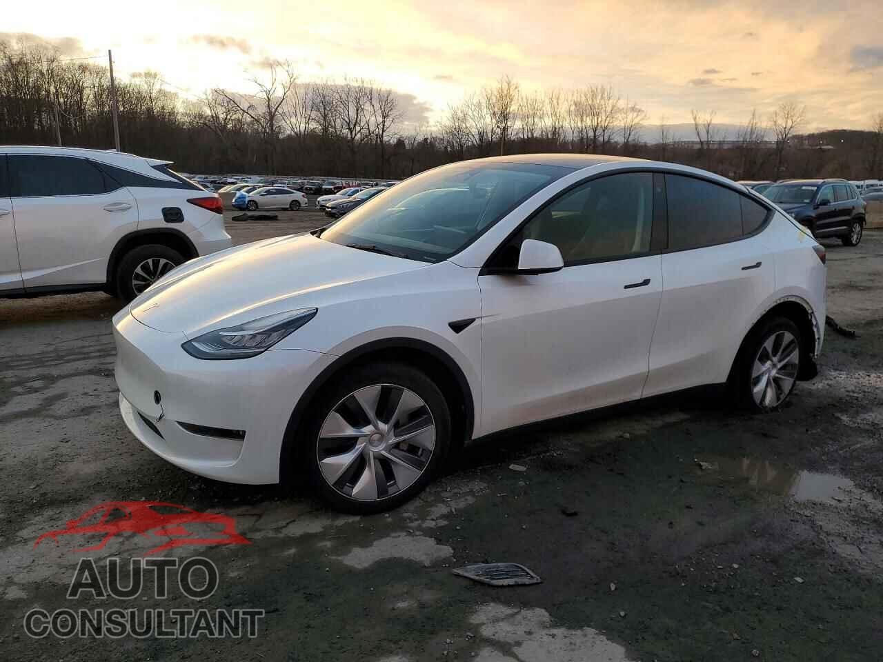 TESLA MODEL Y 2023 - 7SAYGDEE5PA110998