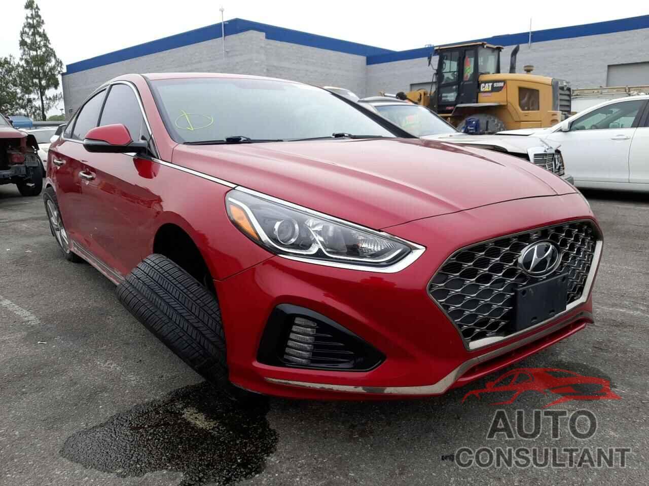 HYUNDAI SONATA 2019 - 5NPE34AF7KH791074