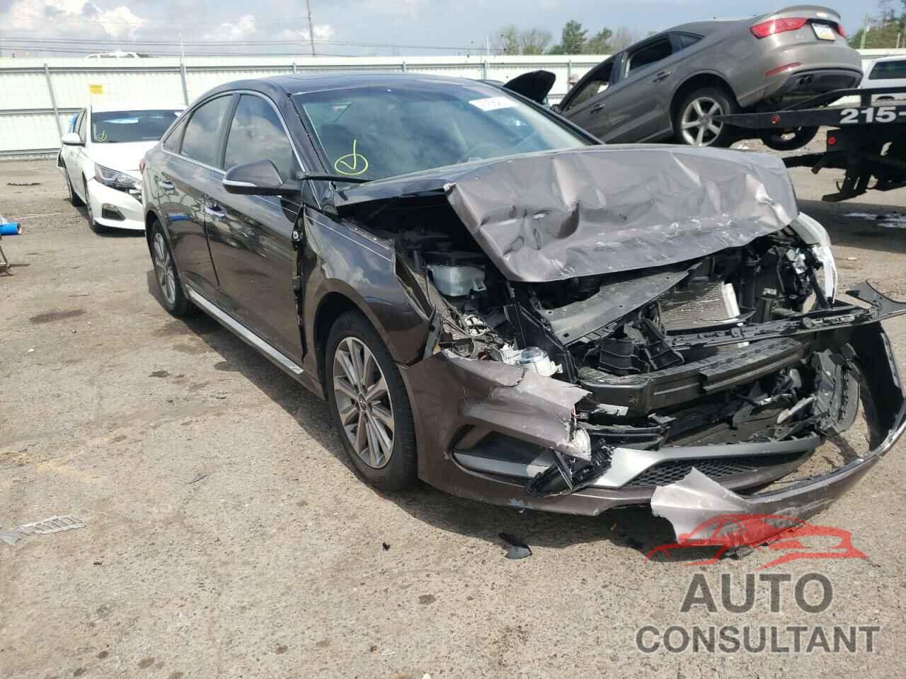 HYUNDAI SONATA 2017 - 5NPE34AF0HH438989