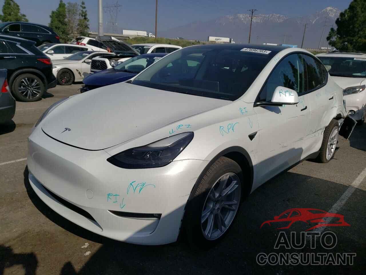 TESLA MODEL Y 2023 - 7SAYGAEE2PF624776