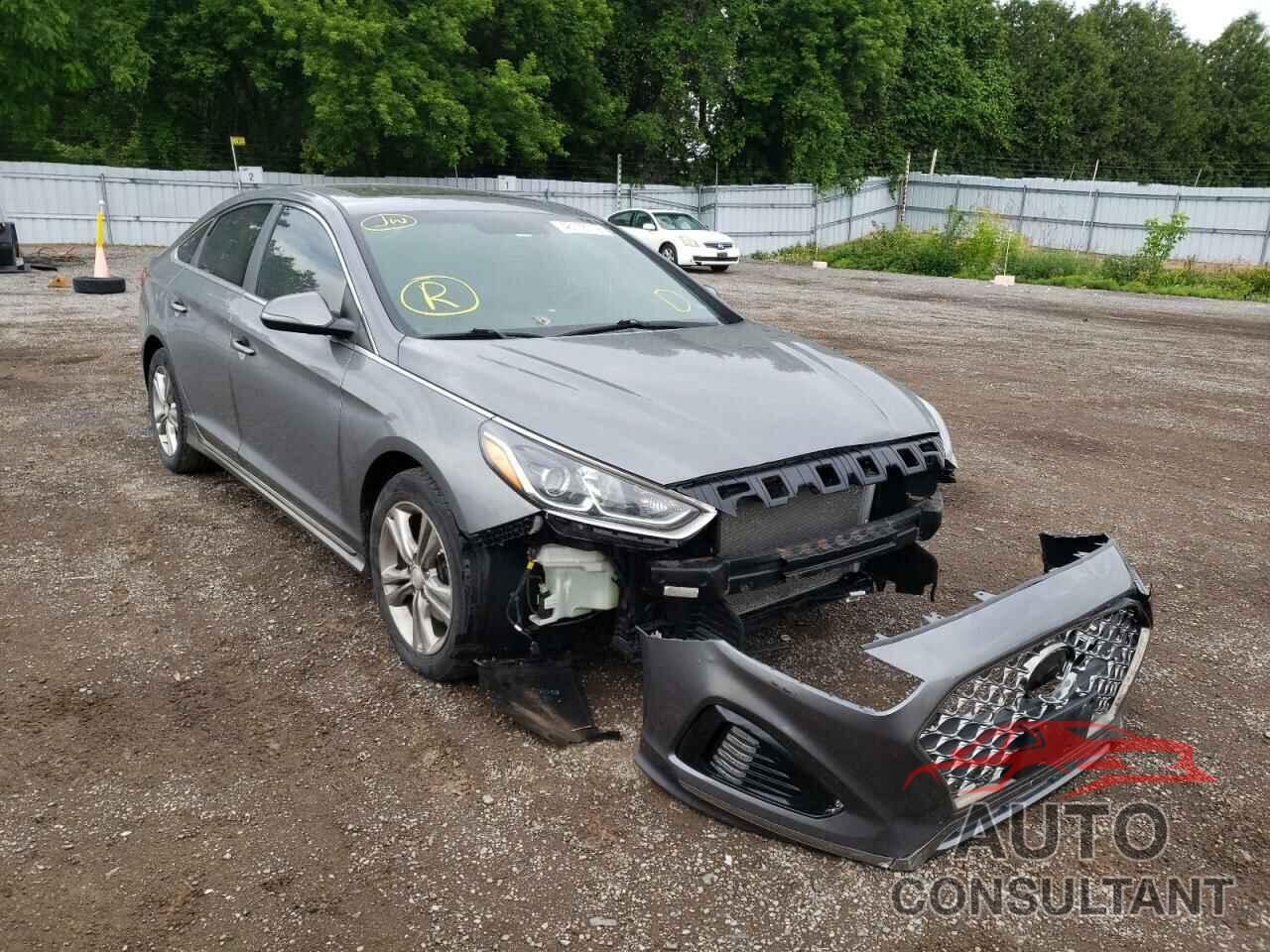 HYUNDAI SONATA 2018 - 5NPE34AF6JH641424