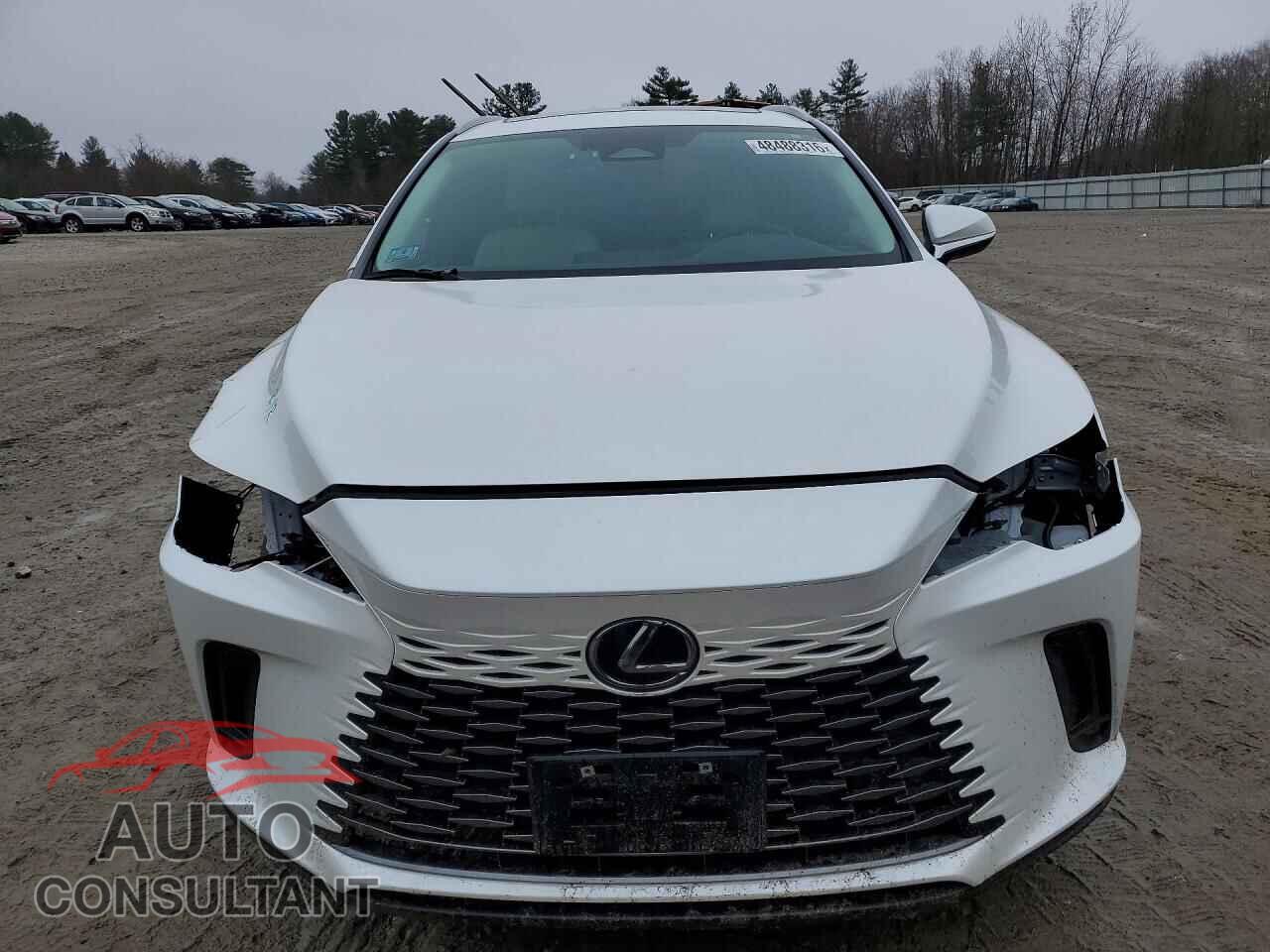 LEXUS UNKNOWN 2024 - 2T2BBMCA3RC030459