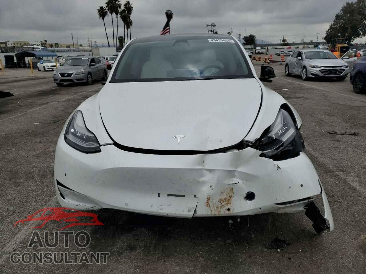 TESLA MODEL Y 2021 - 5YJYGDEE0MF092020
