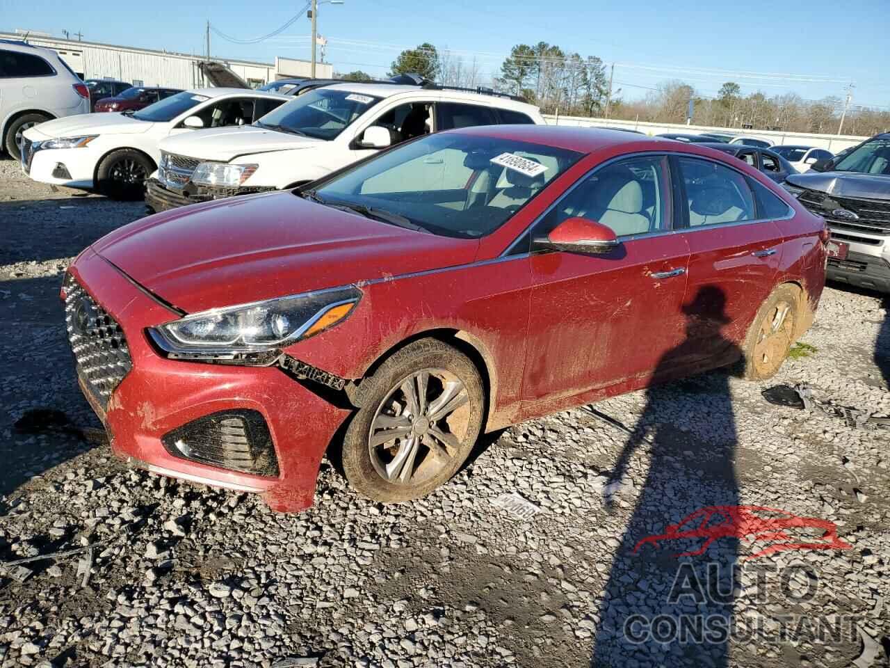 HYUNDAI SONATA 2019 - 5NPE34AFXKH736084