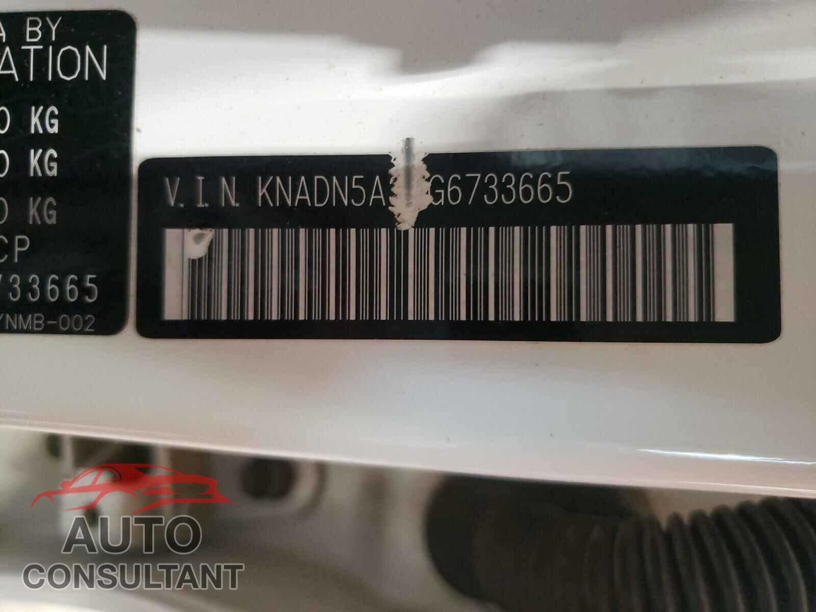 KIA RIO 2016 - KNADN5A34G6733665