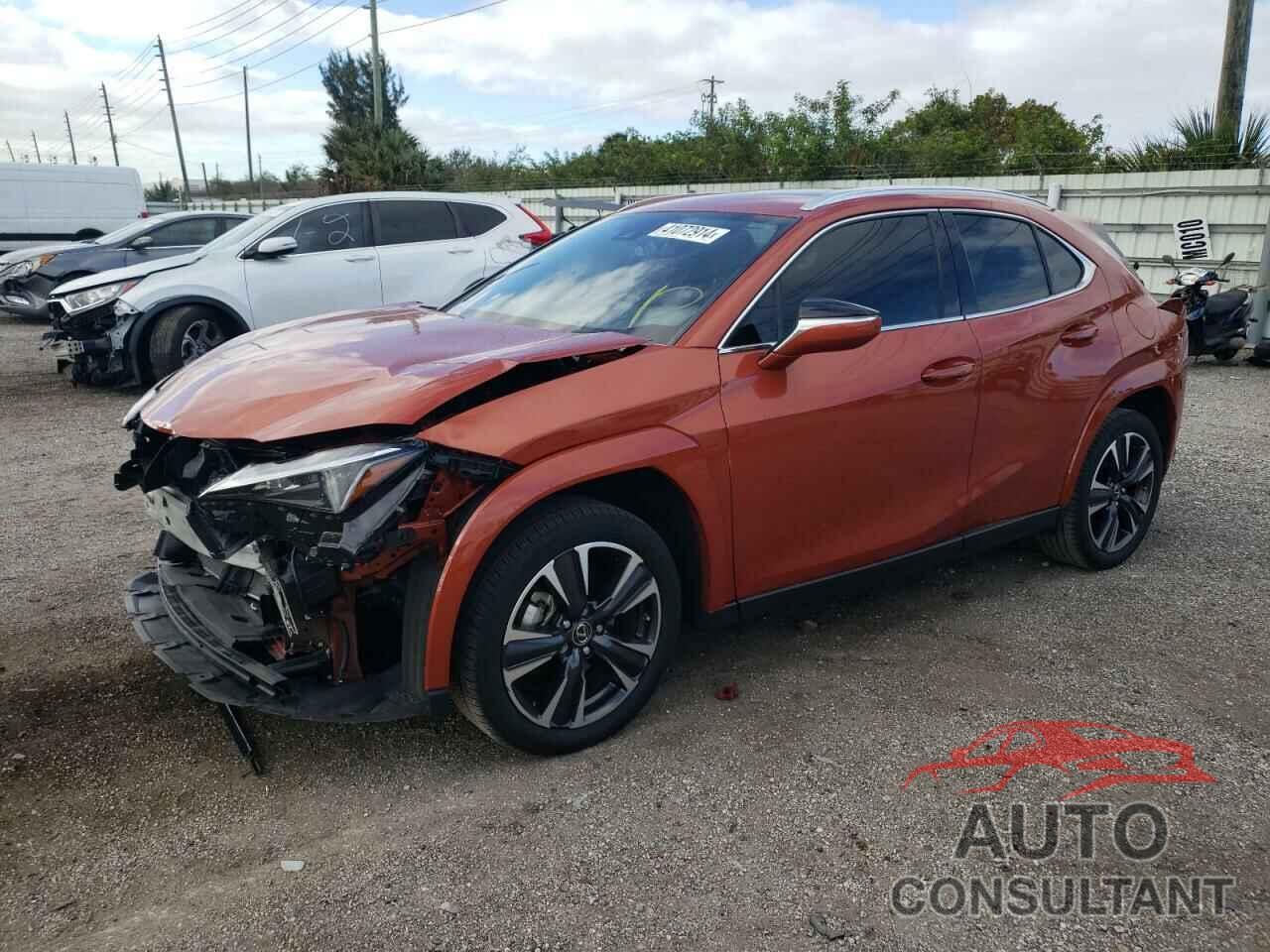 LEXUS UX 250H PR 2024 - JTHP6JBH1R2165402