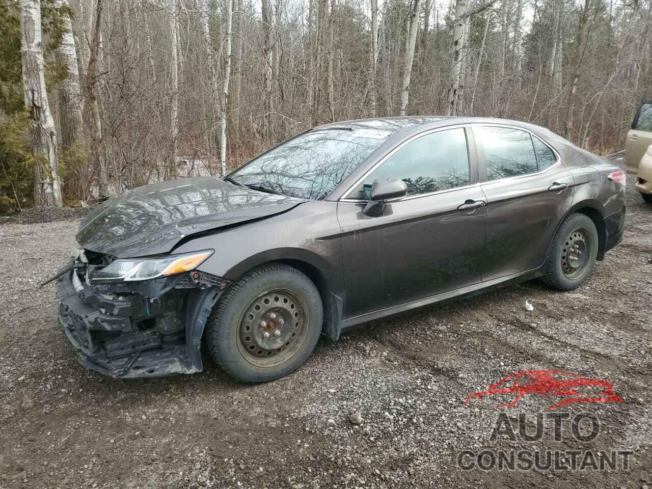 TOYOTA CAMRY 2019 - 4T1B11HK2KU203786