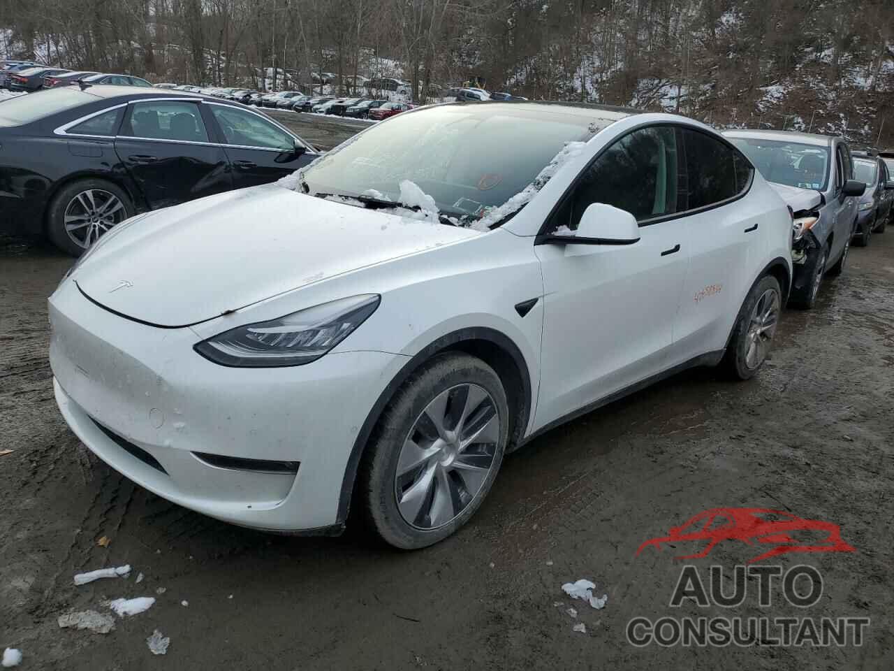 TESLA MODEL Y 2021 - 5YJYGDEE4MF203684