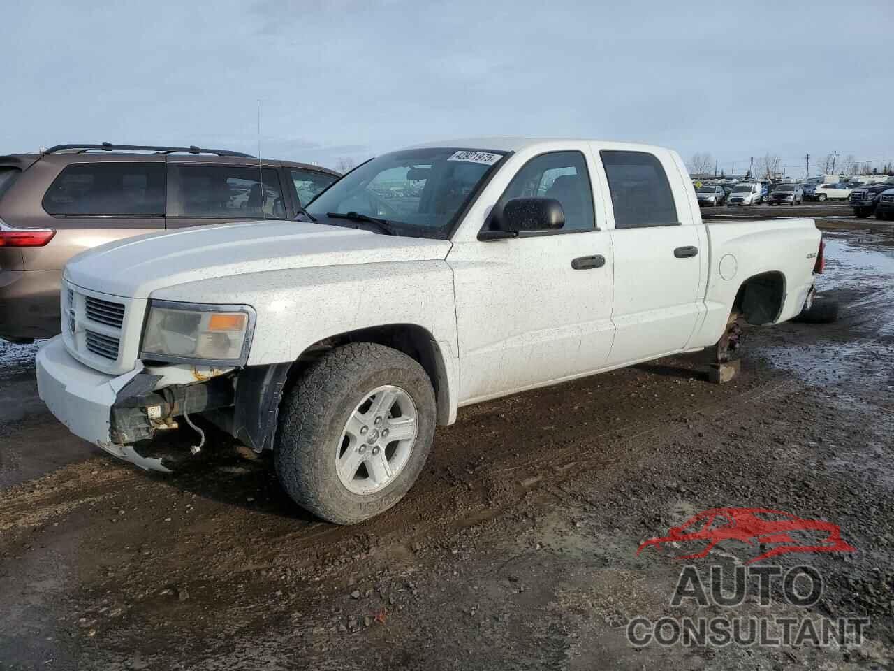 DODGE DAKOTA 2011 - 1D7RW3GK9BS676443