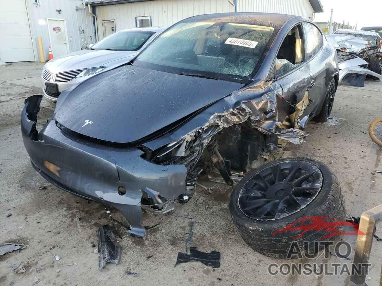 TESLA MODEL Y 2023 - 7SAYGAEE3PF849918