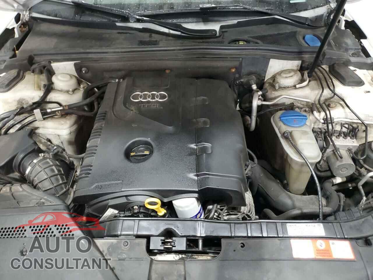 AUDI A4 2010 - WAUFFAFL3AN044009