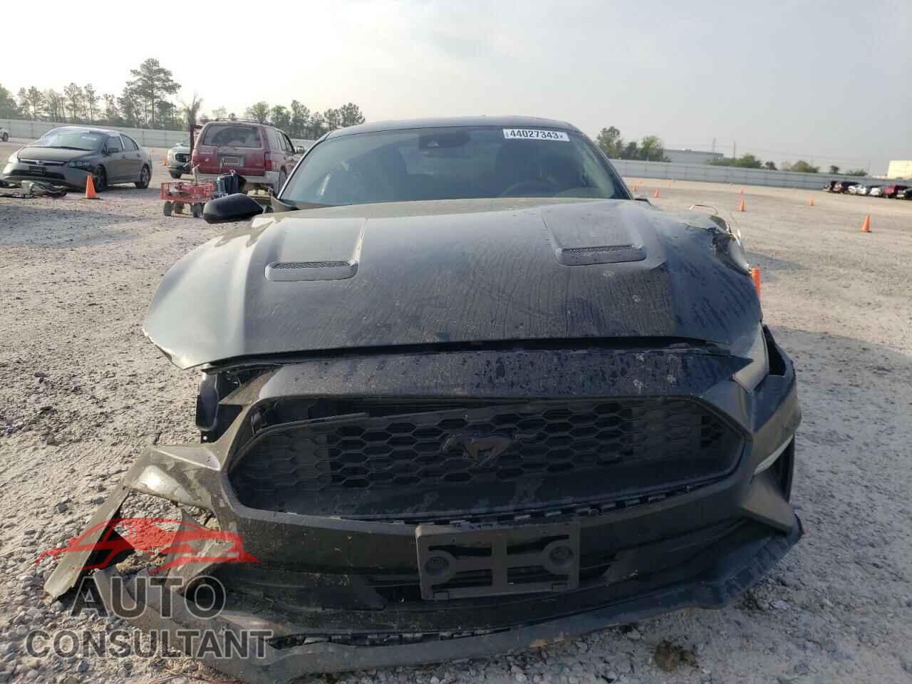 FORD MUSTANG 2021 - 1FA6P8TH8M5151706