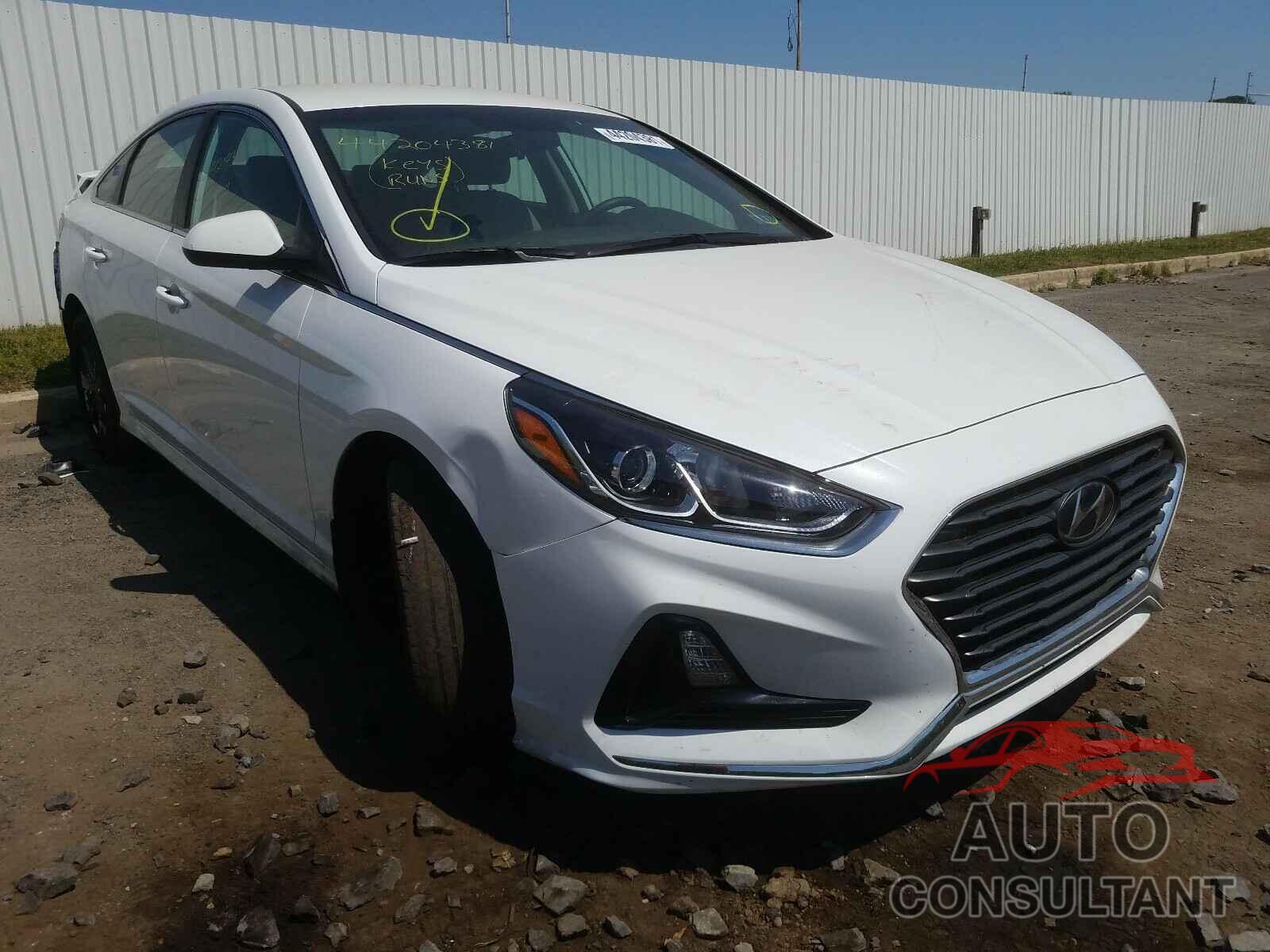 HYUNDAI SONATA 2019 - 5NPE24AF8KH813053