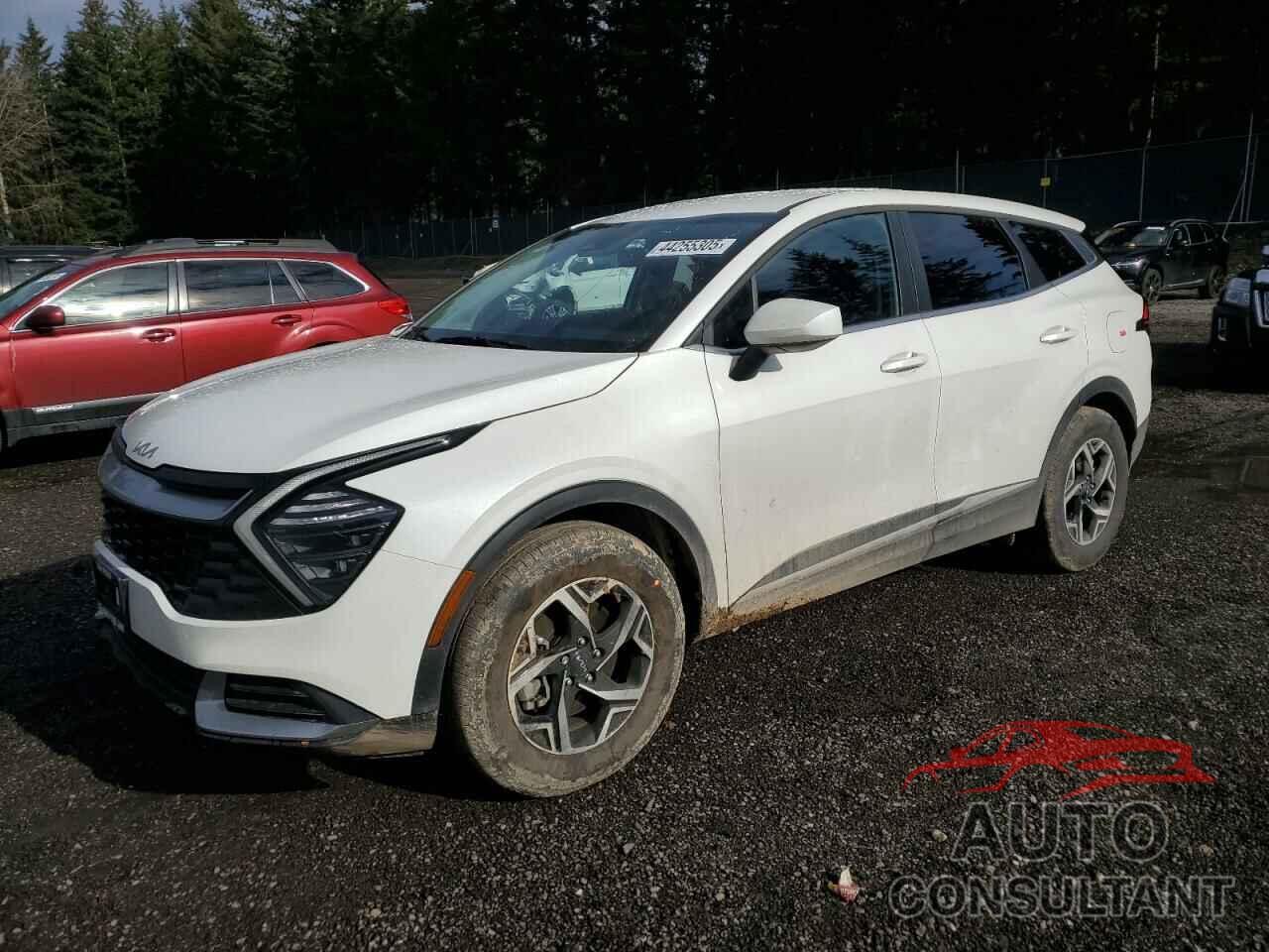 KIA SPORTAGE 2025 - KNDPU3DF3S7350686