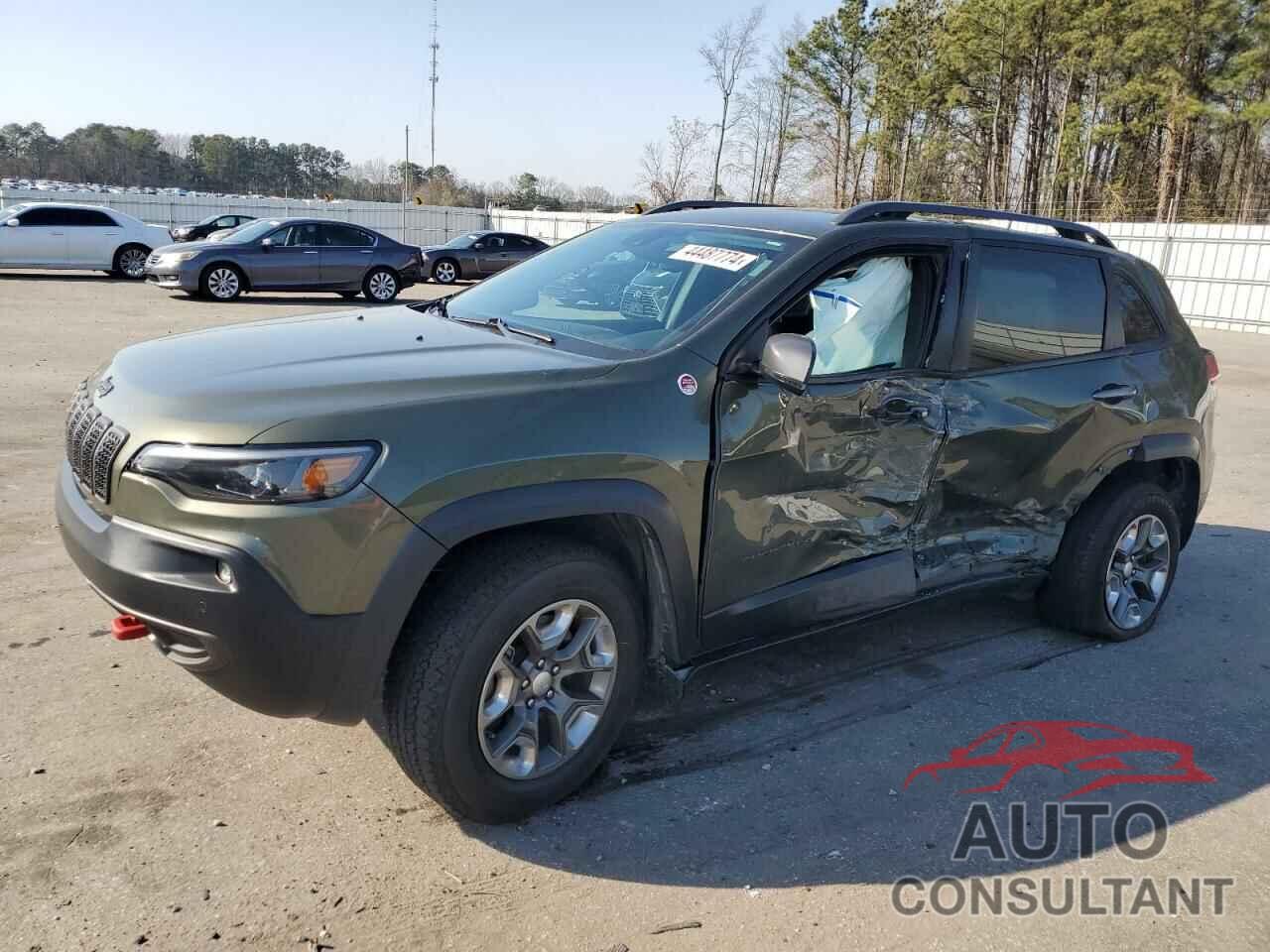 JEEP CHEROKEE 2019 - 1C4PJMBN5KD100487