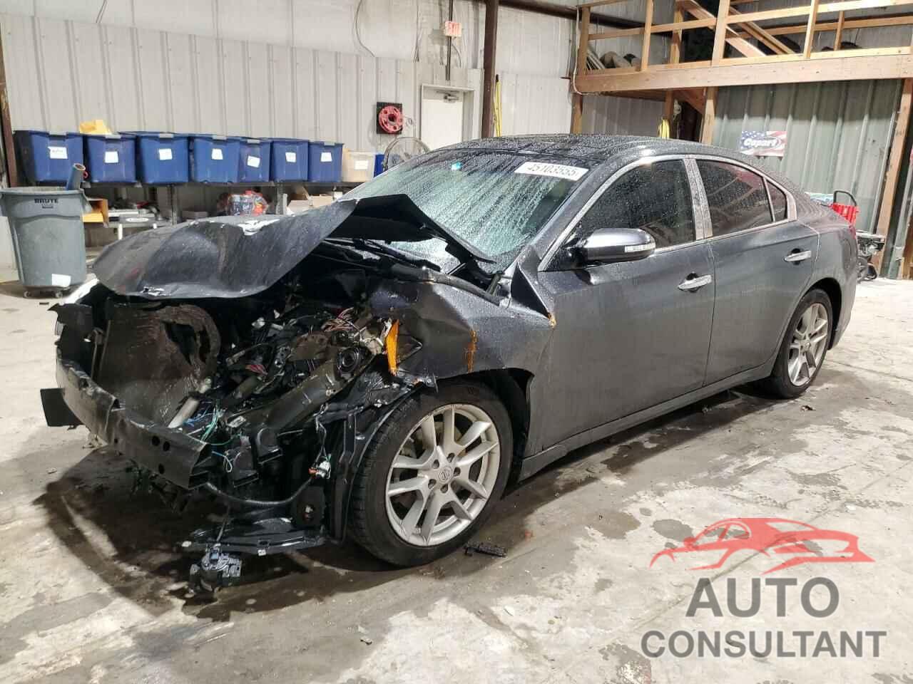 NISSAN MAXIMA 2011 - 1N4AA5AP8BC814611