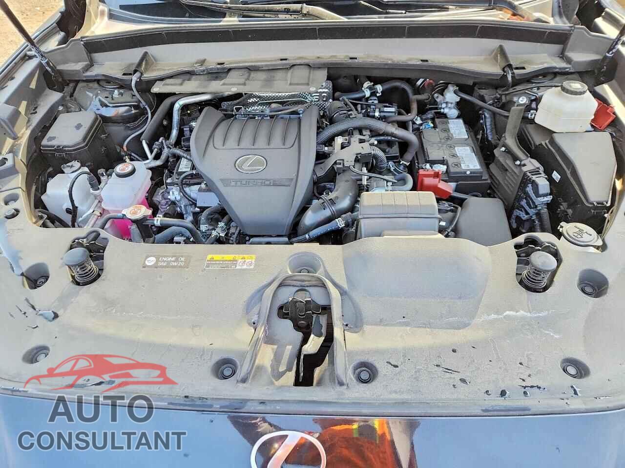 LEXUS UNKNOWN 2025 - 5TDAAAB65SS025064