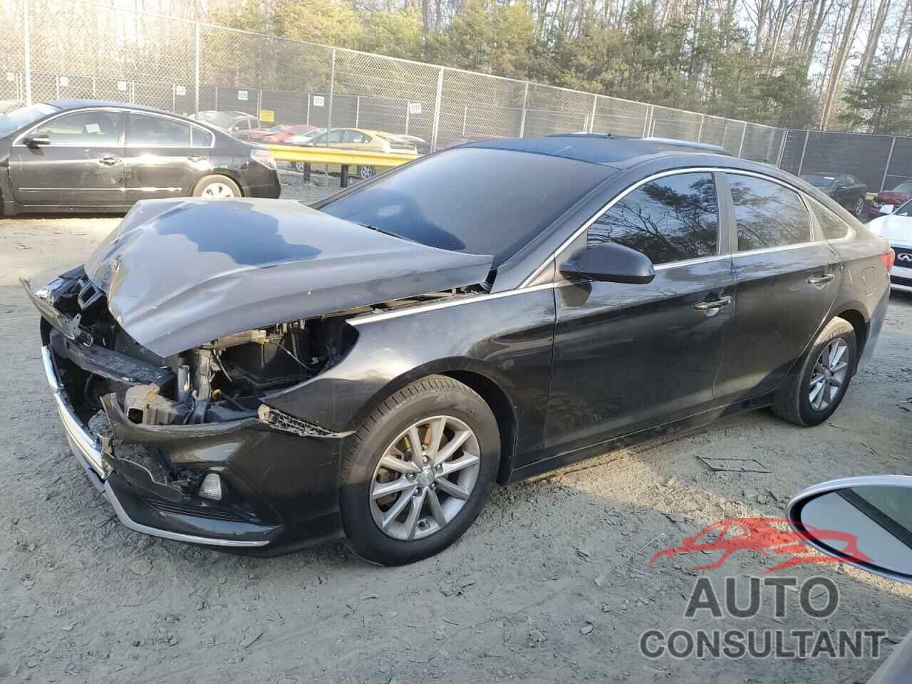 HYUNDAI SONATA 2019 - 5NPE24AF1KH738812