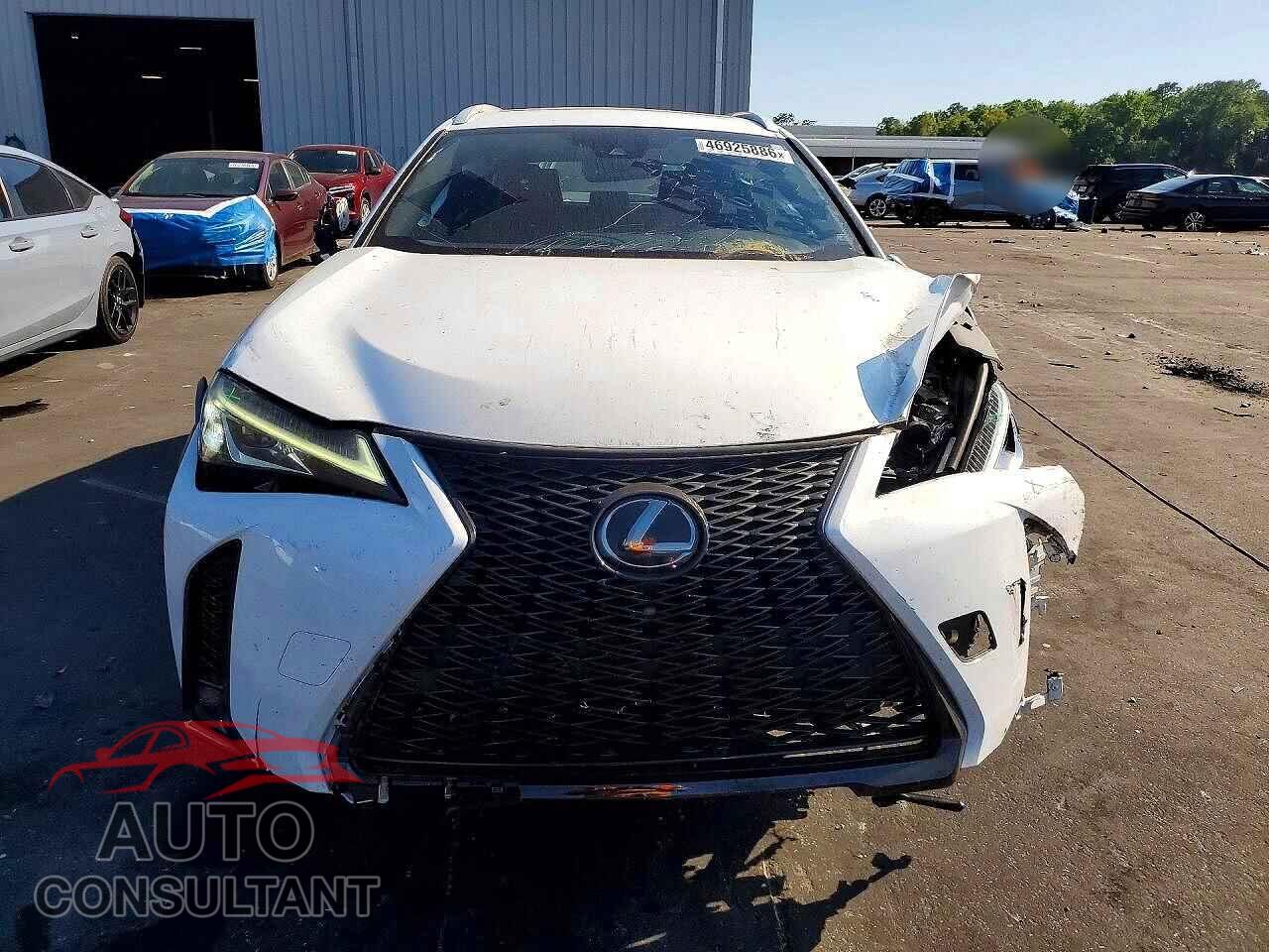 LEXUS UNKNOWN 2019 - JTHY3JBH8K2019985
