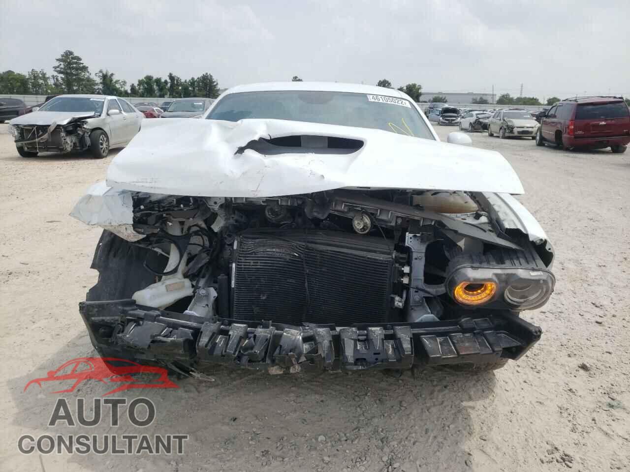 DODGE CHALLENGER 2019 - 2C3CDZJG2KH690225