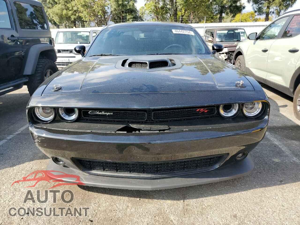 DODGE CHALLENGER 2023 - 2C3CDZBTXPH527941