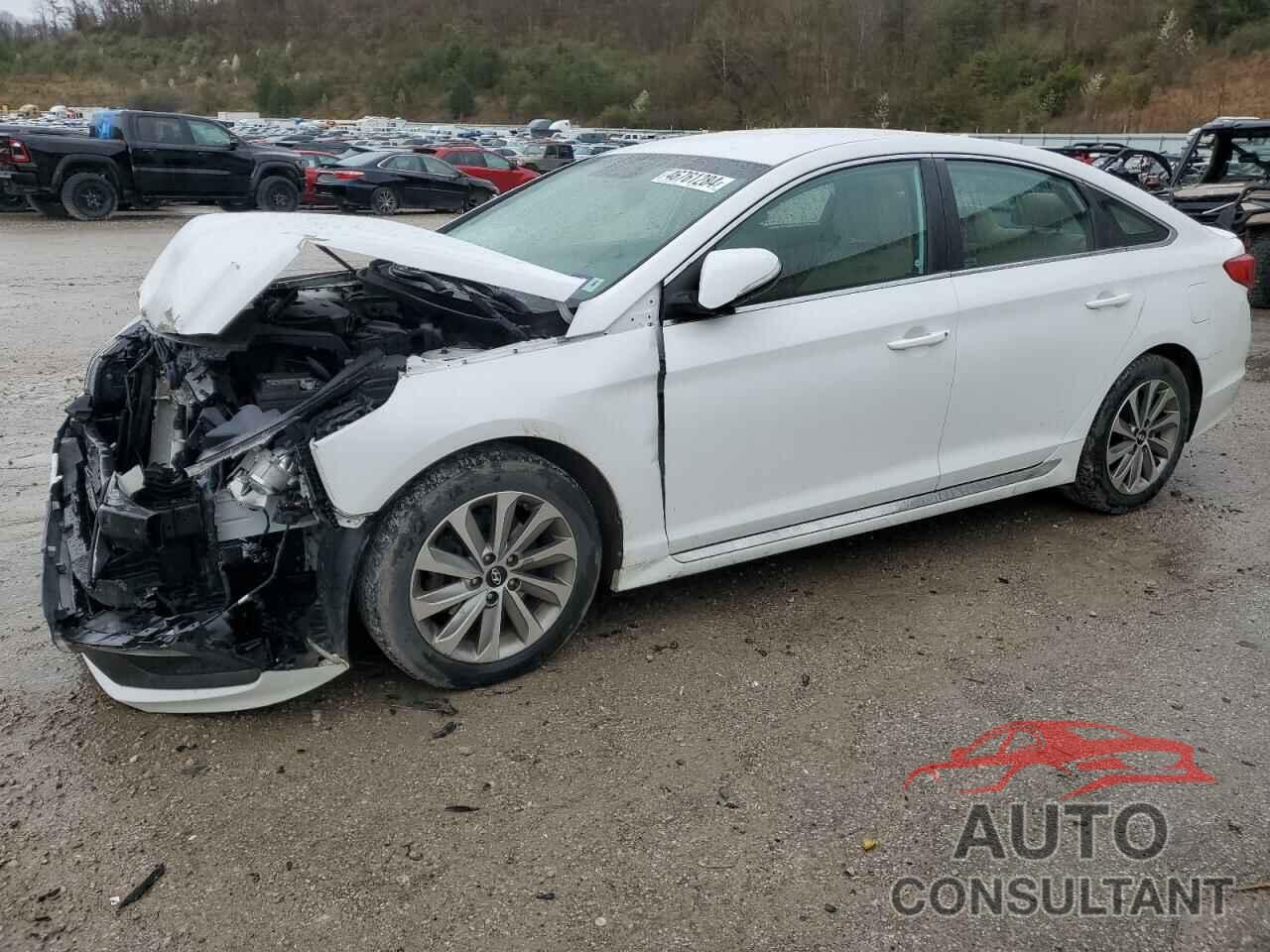 HYUNDAI SONATA 2017 - 5NPE34AF2HH507696