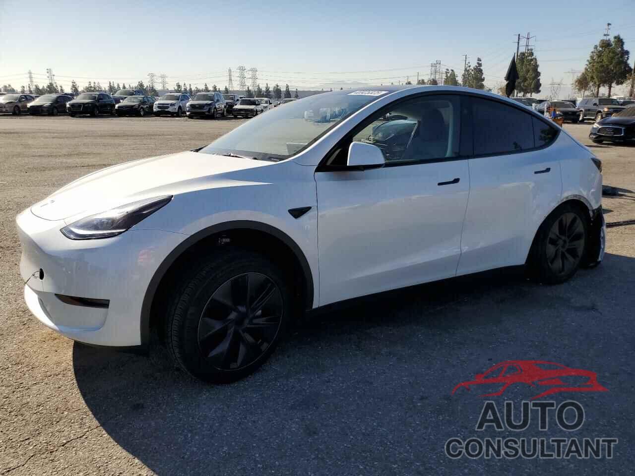 TESLA MODEL Y 2024 - 7SAYGDED1RF108999